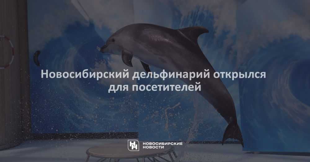 How to become a dolphin trainer: 13 steps (with pictures)