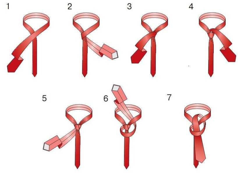 Памятка каждому мужчине и не только 18 способов завязать галстук | mixnews