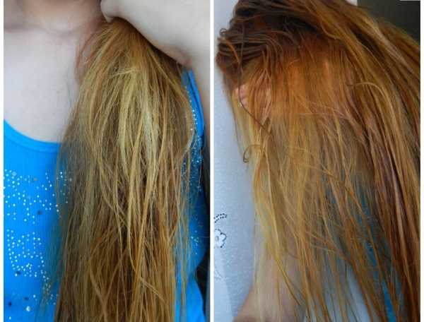 Спасаем волосы: секретное средство — кокосовое масло - красота и здоровье