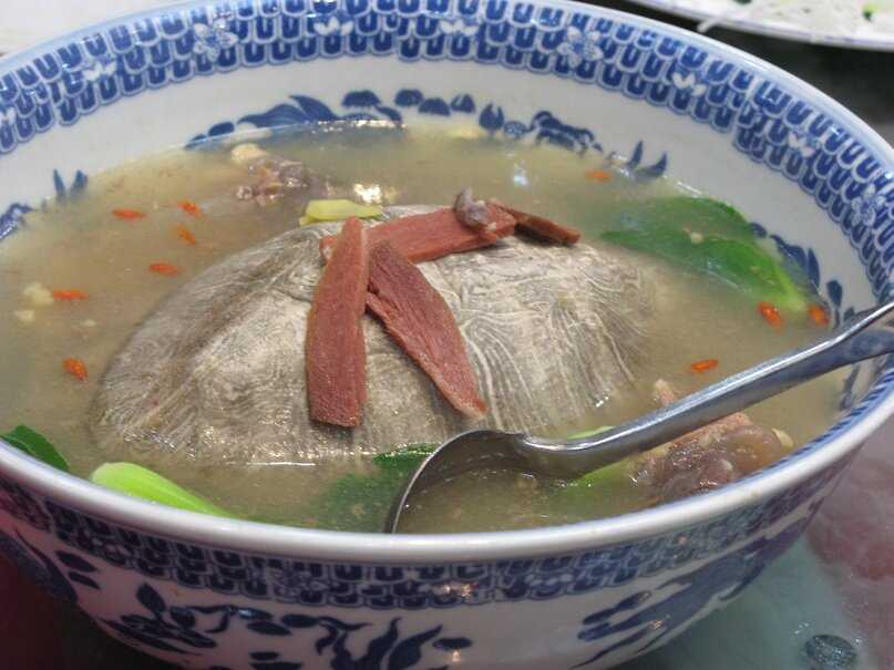 Черепаховый суп