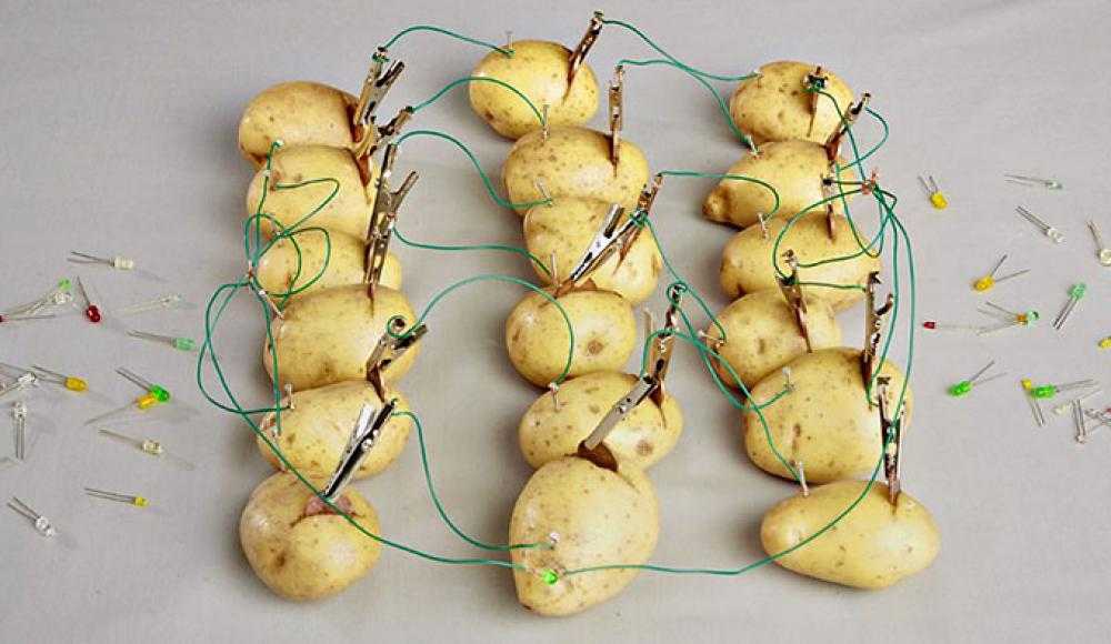 Faceți o baterie de cartofi pentru a alimenta un ceas cu led - ştiinţă - 2021