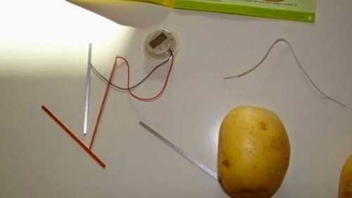 Электричество из картошки - 2 способа. батарейка на 1,5в из вареной картофелины, видео изготовления в домашних условиях.