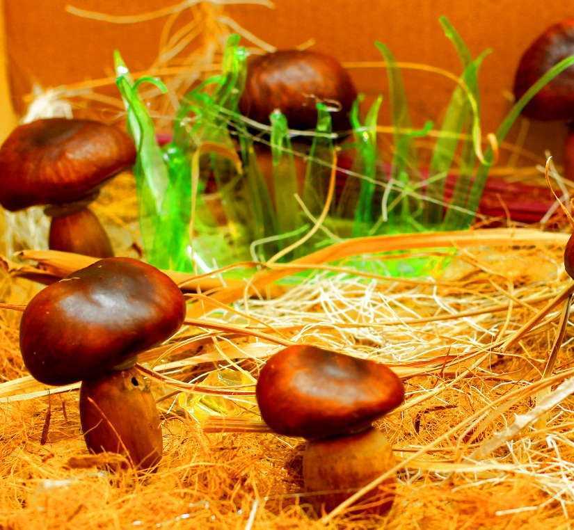 Поделка гриб: мастер-класс изготовления грибов из различных подручных материалов (135 фото + видео)