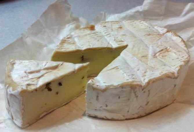 Сыр с плесенью камамбер, как правильно есть сыр камамбер
