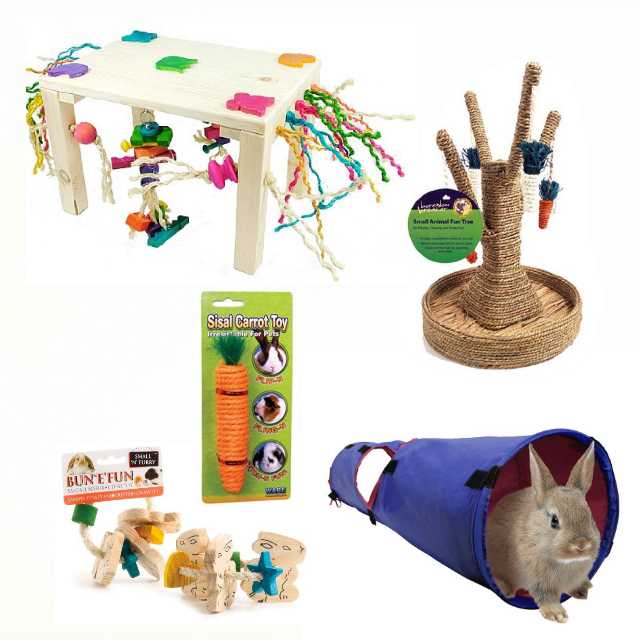 Самодельные игрушки для кролика - журнал огородника agrotehnika36.ru