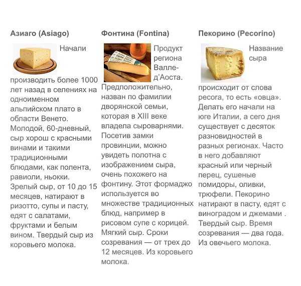 Как правильно есть сыр - как это делают в испании, италии, франции, германии, англии - рецепты, продукты, еда | сегодня