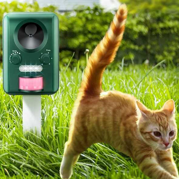 Какой запах не любят кошки: запахи отпугивающие кошек в саду и на дачном участке