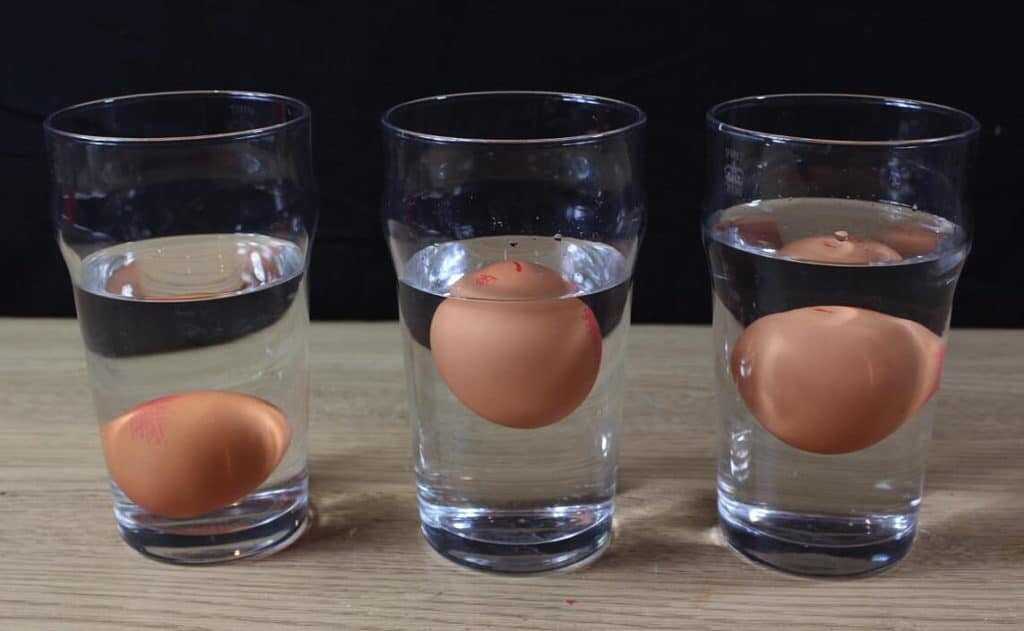 Как сделать прыгающее яйцо (с иллюстрациями) - wikihow
