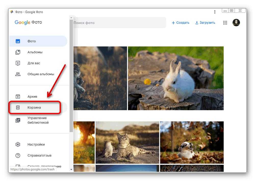 Как перенести фотографии из обнаглевшего google фото в другой облачный сервис