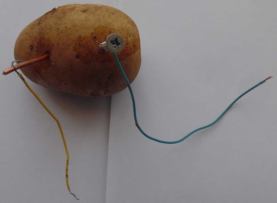 Батарейка из картошки: как сделать в домашних условиях, и добыть электричество из подручных материалов в походных условиях