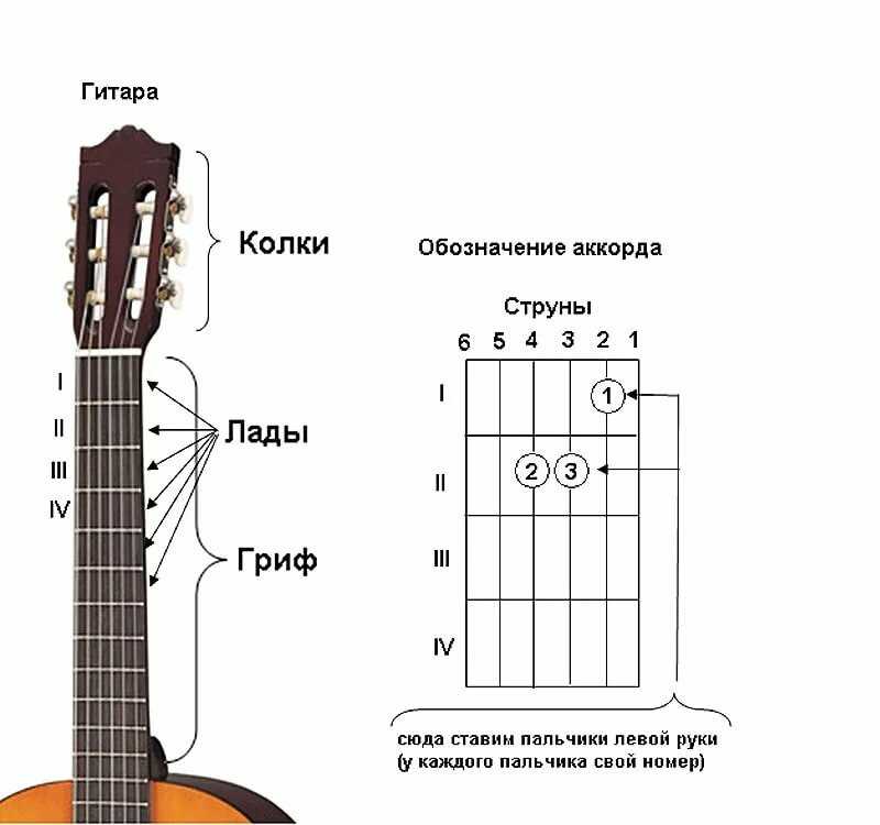 Как научиться играть на гитаре с нуля за 14 дней: пошаговая инструкция для начинающих | с чего начать обучение
