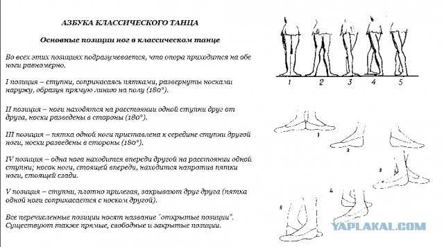 Позиции ног и рук в классическом танце — основы классической хореографии
