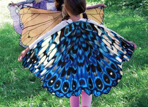 Костюм бабочки для девочки своими руками: как сделать, что нужно