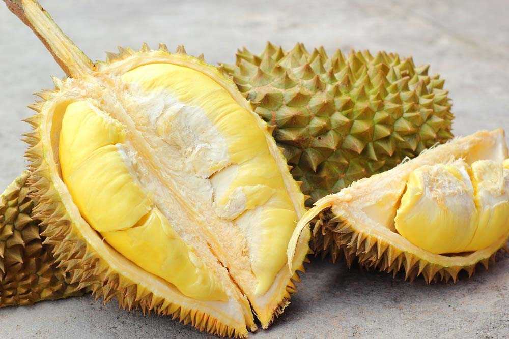 Польза джекфрута и дуриана, а также их отличия от других фруктов таиланда