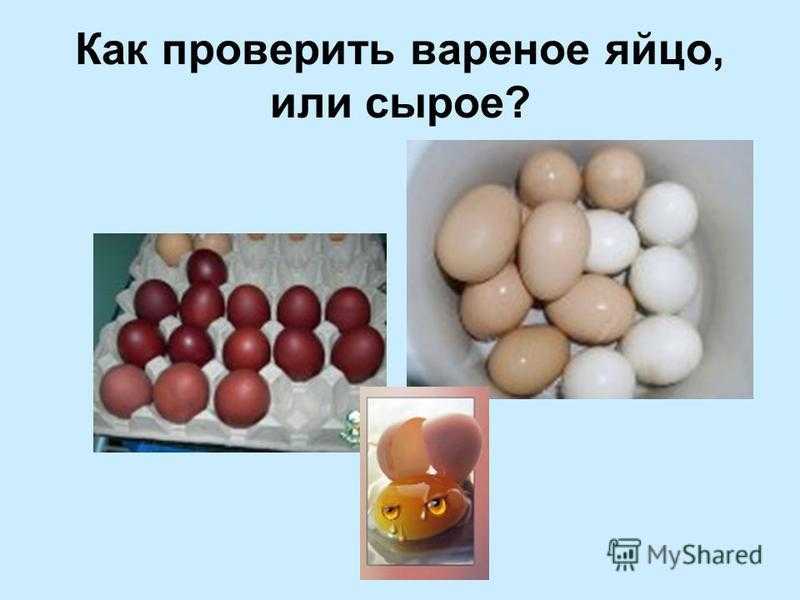 Как проверить вареные яйца или сырые – 5 актуальных способов