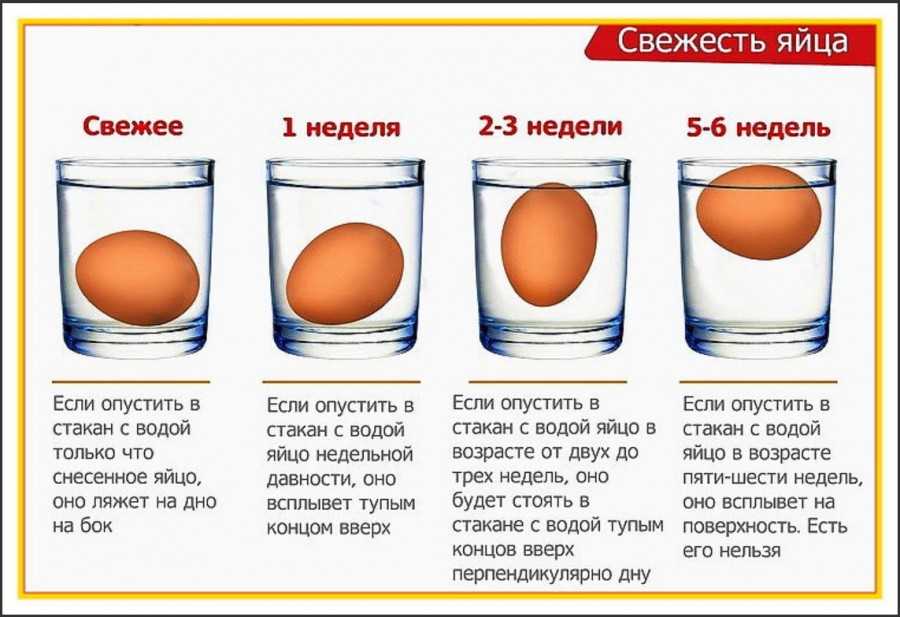Как отличить вареные яйца от сырых