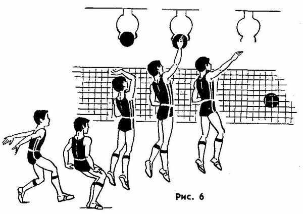 Правила игры в волейбол кратко по пунктам
