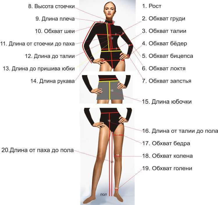 Как измерить длину руки: 10 шагов (с иллюстрациями)