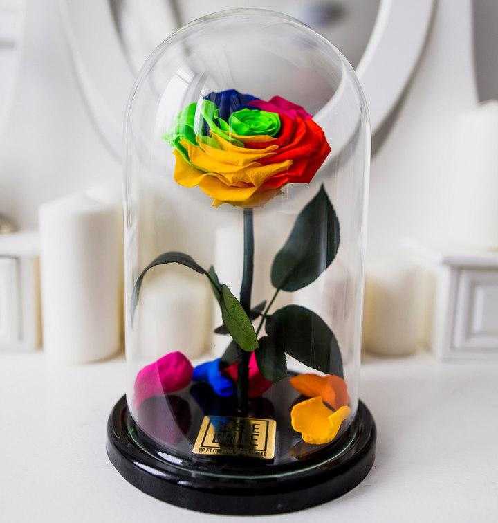 Как сделать радужные розы с цветными лепестками