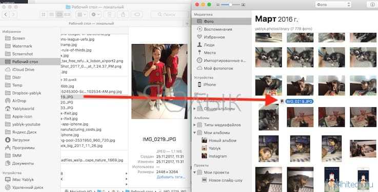 Где хранятся фото и видео, импортированные в программу фото на mac