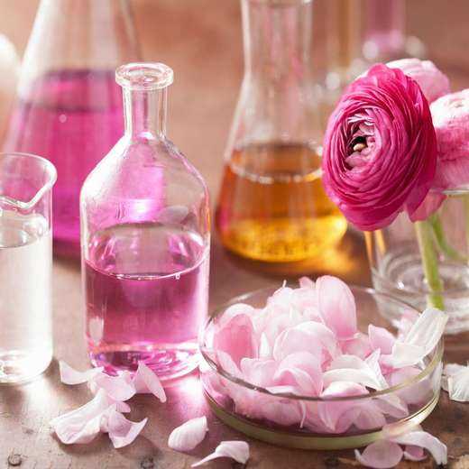 Как засахарить лепестки роз для торта, мастер-класс как засахарить цветы | houzz россия