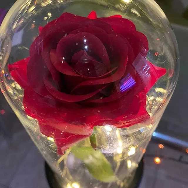 Радужная роза: как придать необычную окраску королеве сада