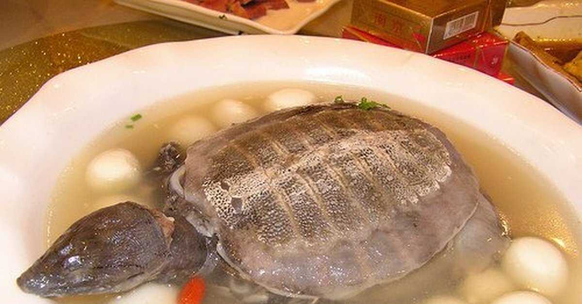 Креольский черепаховый суп
