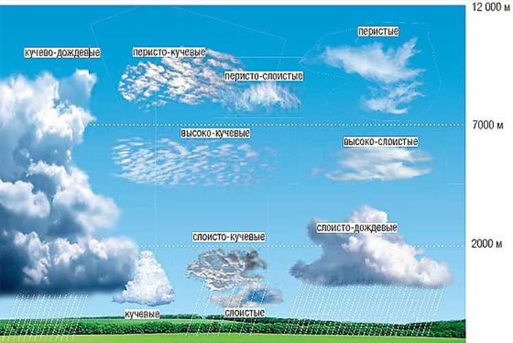 Расстояние между облаками. Типы облаков. Какие бывают облака. Абак виды. Виды облаков схема.