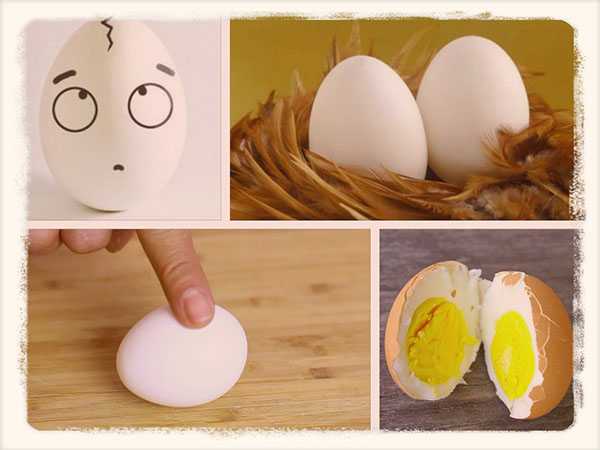 Как отличить сырое яйцо от вареного