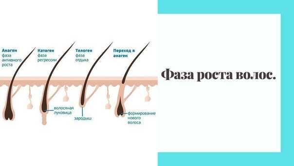 Как замедлить рост волос после бритья - dorco.ru