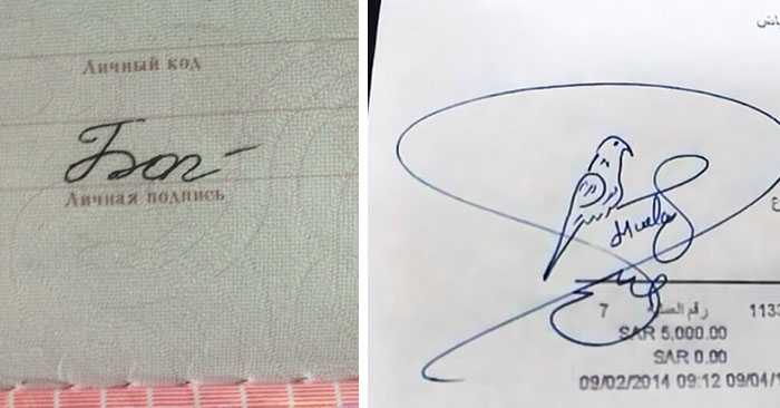 ✅ как придумать подпись: красивые варианты уникального автографа. красивая подпись. как красиво сделать подпись? примеры красивых подписей - mariya-timohina.ru