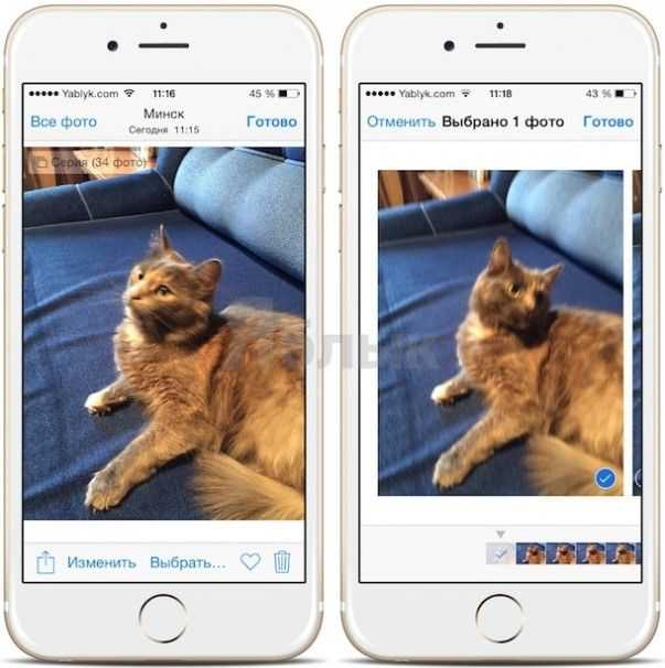 Iphone x(s/r)/8/7/6 не сохраняет фотографии в фотопленку или из мессенджеров - что делать | a-apple.ru