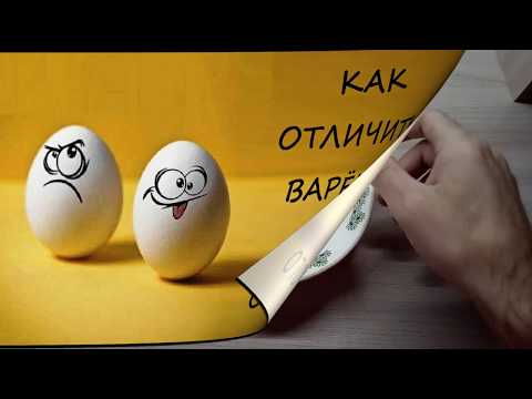 Как отличить сырое яйцо от вареного: 5 простых и доступных способов