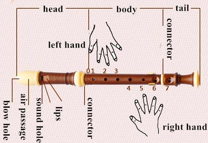Как играть на флейте: 13 шагов (с иллюстрациями)