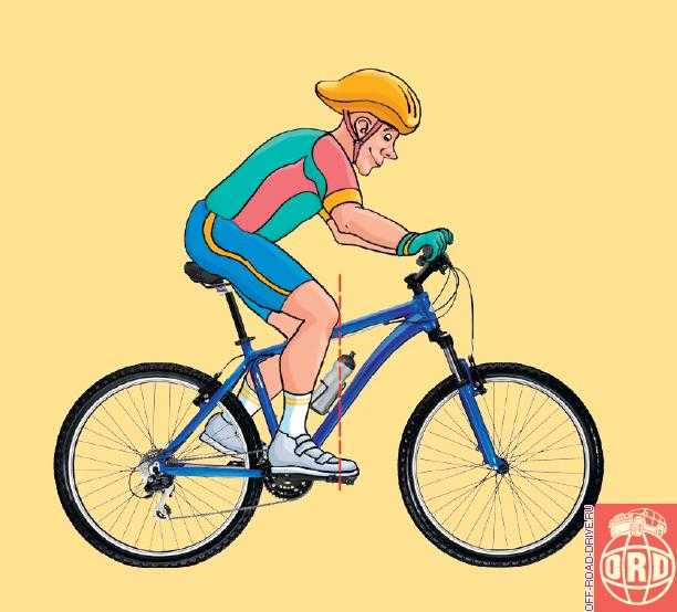 Как научить кататься на велосипеде как научиться ездить на велосипеде взрослому