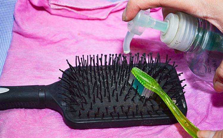 Расческа: как выбрать лучшую для волос, как чистить и хранить : уход за волосами ::  jivilife.ru