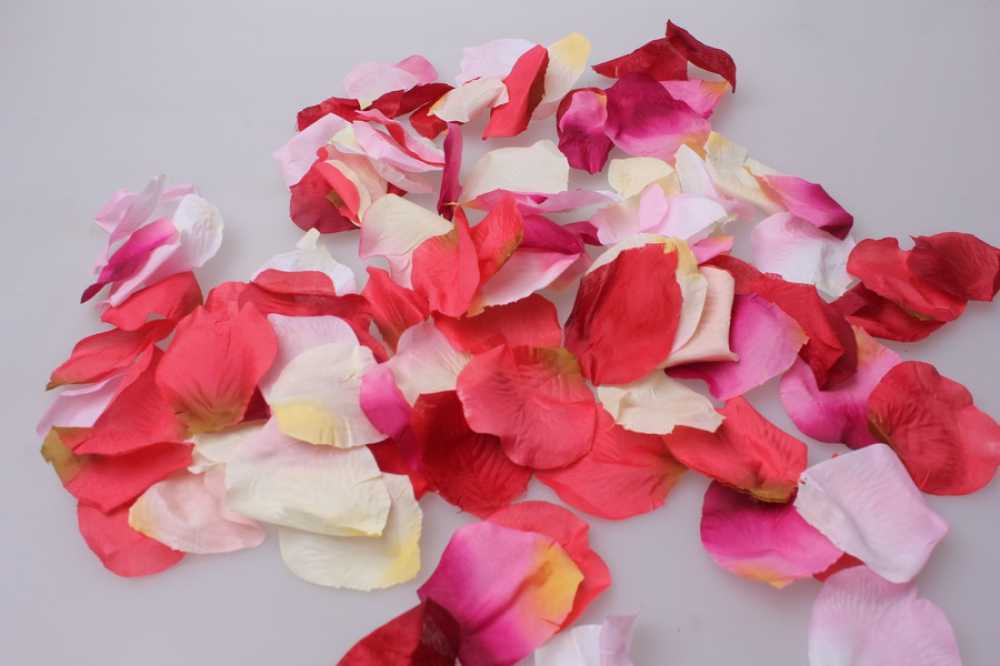 Дамасская роза в вашем саду. что можно приготовить из ее лепестков роз