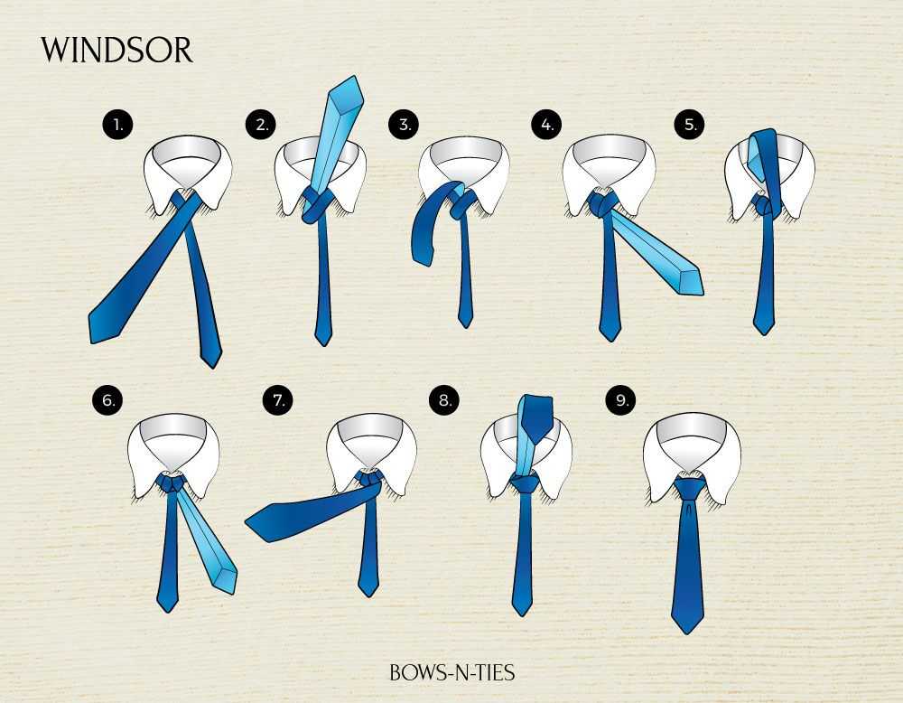 Как завязывать галстук виндзор: инструкция с фото и видео