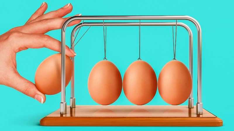7 экспериментов с яйцами, которые можно сделать дома
