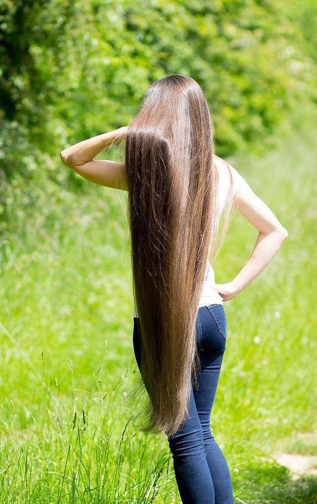 Волосы как отрастить до середины спины