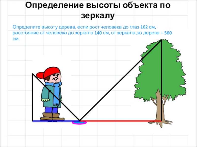 Высотомер для измерения высоты дерева