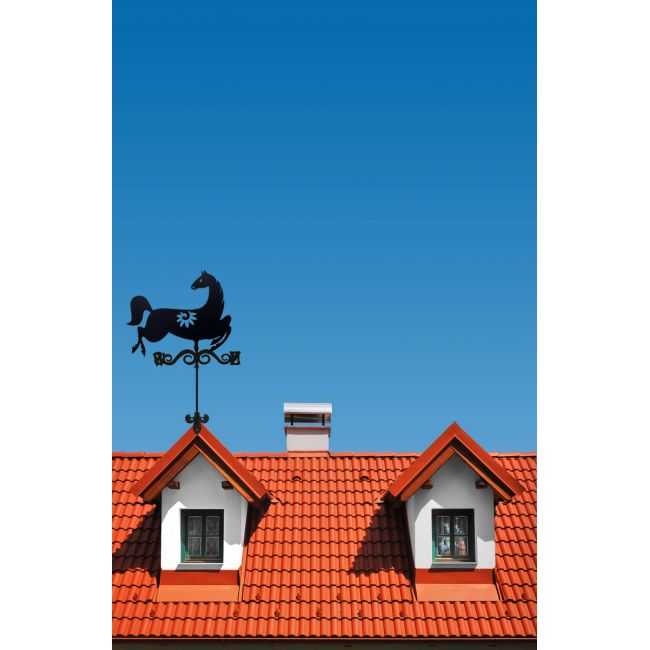 Флюгер на крышу: функциональные качества и символика (22 фото)