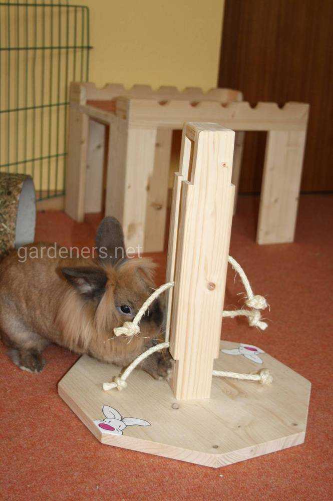 ✅ игрушки для кроликов декоративных своими руками - питомник46.рф