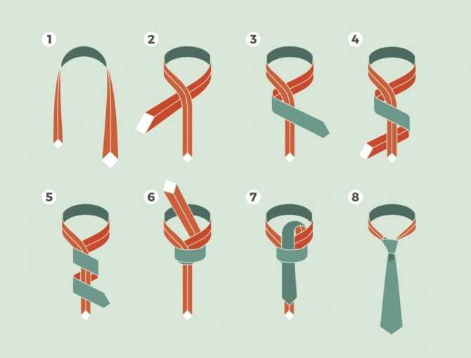 Как завязывать виндзорский узел галстука :: syl.ru