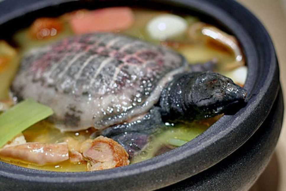 Как приготовить суп из черпахи