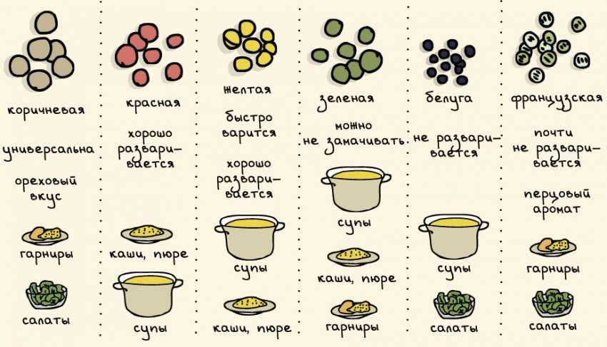 Красная чечевица: рецепты приготовления, как вкусно сварить