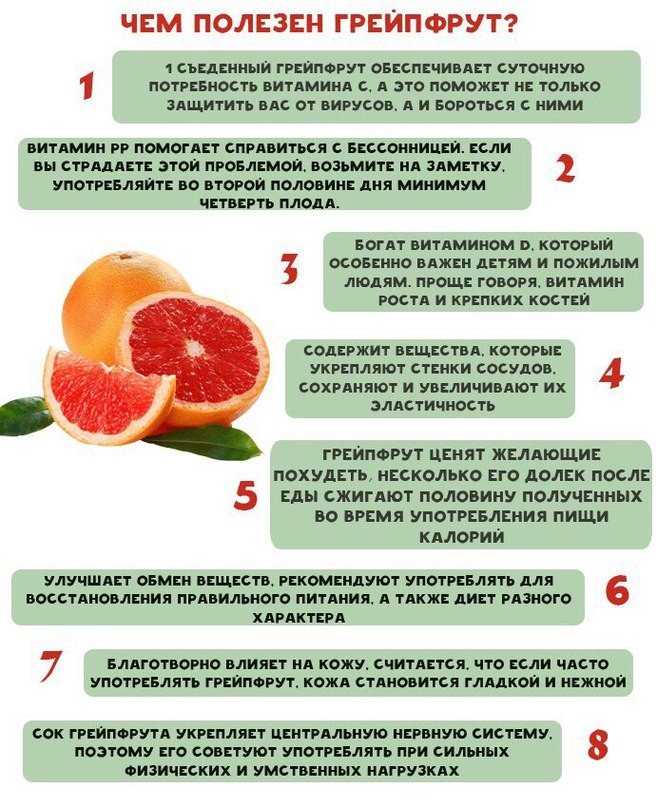 Как выбрать апельсины правильно: сладкие, вкусные и без химии