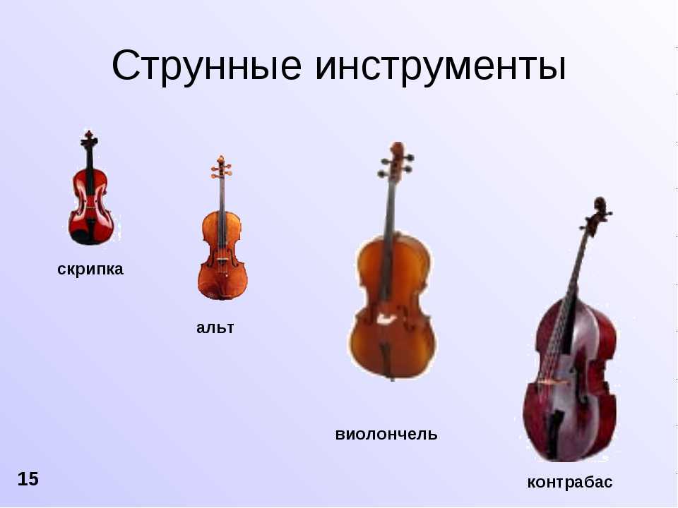 Контрабас и виолончель в чем разница фото