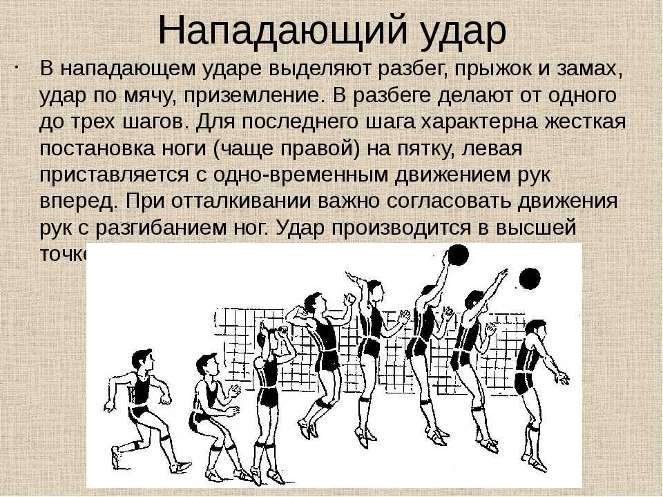 Волейбол 🏐 основные и официальные правила игры в волейбол 👌