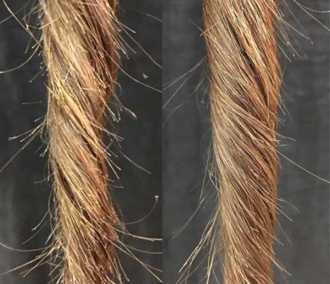 Виды повреждений волос. что делать при разрушении структуры волос